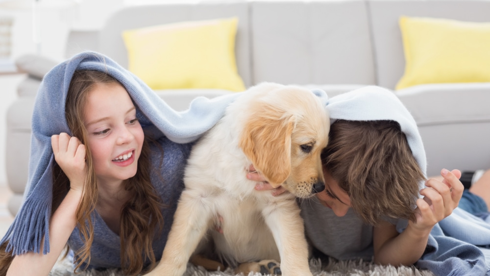 Kids under a blanket with a puppy.